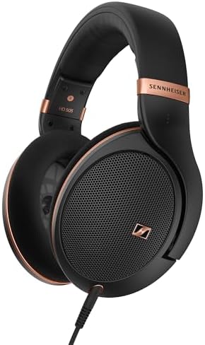 Sennheiser HD 505 (B0DSK2MB15)
